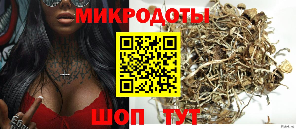 Галлюциногенные грибы Cubensis  купить  цена  Галлюциногенные грибы GOLDEN TEACHER  Семёнов  Вход с VPN 